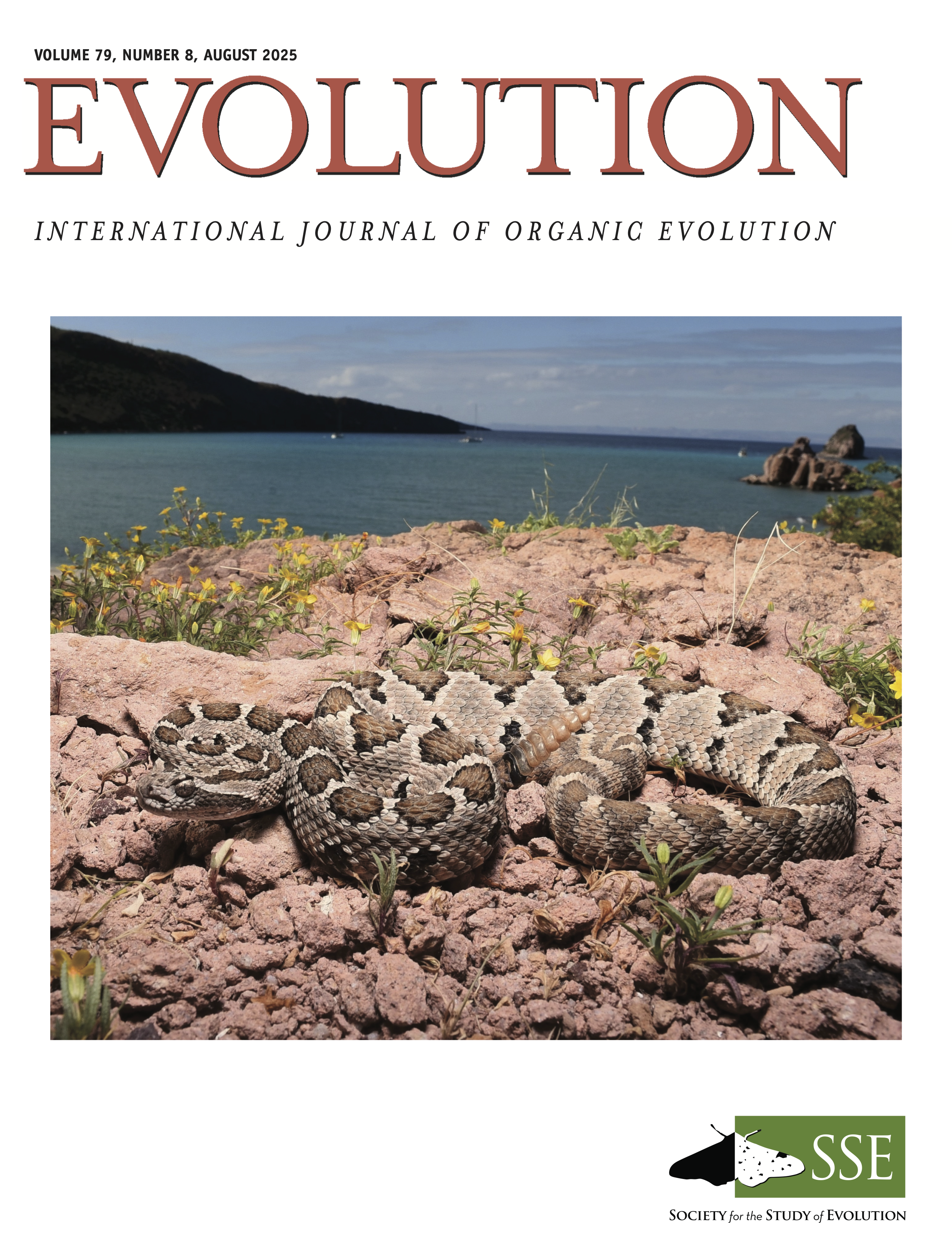 Cover page for 2025 Evolution cover article